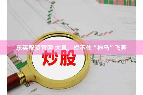 东英配资官网 大风，拦不住“神马”飞奔