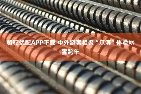 骆驼优配APP下载 中外游客相聚“尔滨”体验冰雪跨年
